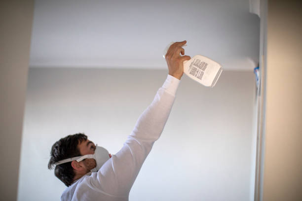 Best Toxic Mold Removal  in Holly Springs, GA