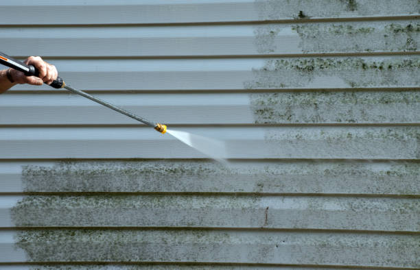 Certified Mold Removal in Holly Springs, GA